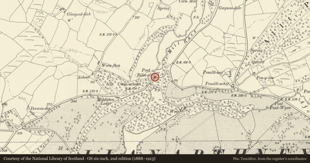 Ordnance Survey six-inch map, 2nd edition (1888–1913) covering the location of Pont Felin-gât, Llanarthney, Carmarthenshire, with a pin at the register's coordinates