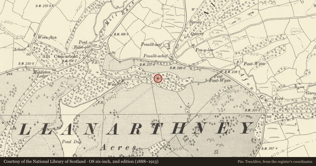 Ordnance Survey six-inch map, 2nd edition (1888–1913) covering the location of Bridge above Waterfall in Middleton Park, Llanarthney, Carmarthenshire, with a pin at the register's coordinates