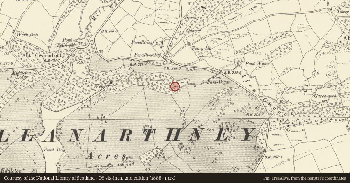 Ordnance Survey six-inch map, 2nd edition (1888–1913) covering the location of Weir in Middleton Park, Llanarthney, Carmarthenshire, with a pin at the register's coordinates