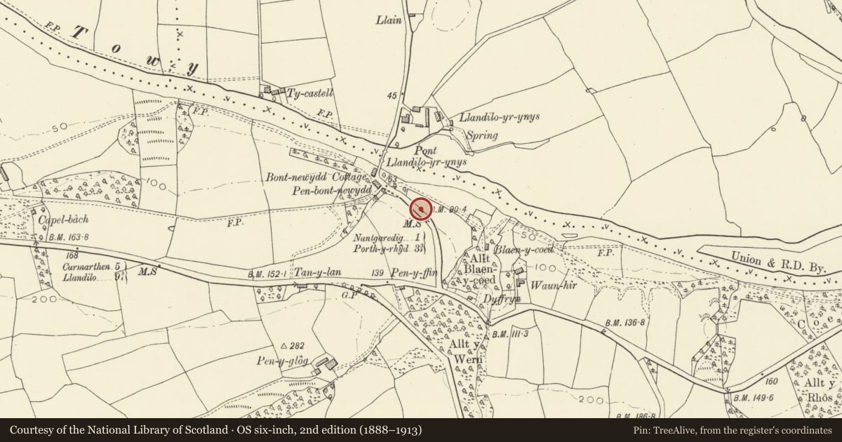 Ordnance Survey six-inch map, 2nd edition (1888–1913) covering the location of Milestone near Pont Llandeilo-yr-ynys, Llanarthney, Carmarthenshire, with a pin at the register's coordinates