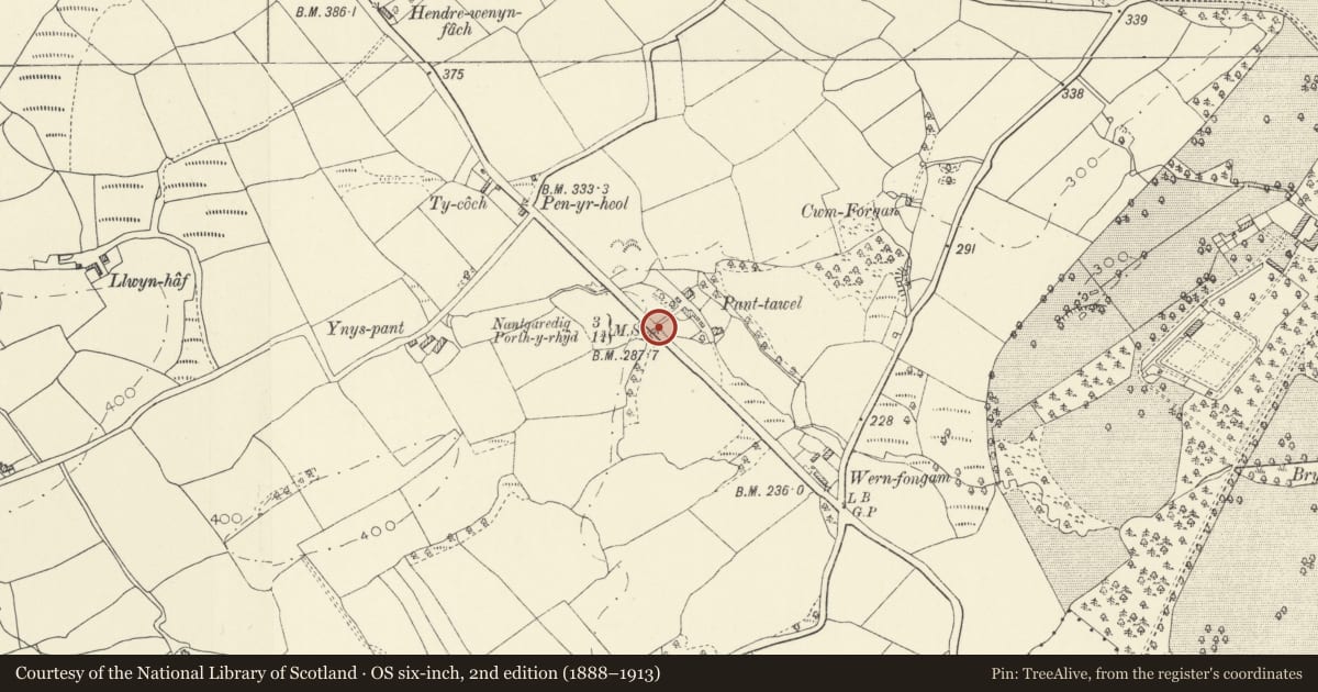 Ordnance Survey six-inch map, 2nd edition (1888–1913) covering the location of Milestone near Wernbongam, Llanarthney, Carmarthenshire, with a pin at the register's coordinates