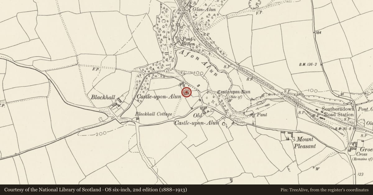 Ordnance Survey six-inch map, 2nd edition (1888–1913) covering the location of Castle-upon-Alun House including attached stone walls enclosing garden, and outbuilding, St. Bride's Major, Vale of Glamorgan, with a pin at the register's coordinates