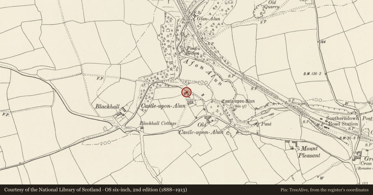 Ordnance Survey six-inch map, 2nd edition (1888–1913) covering the location of Cart shed at Castle-upon-Alun House, St. Bride's Major, Vale of Glamorgan, with a pin at the register's coordinates