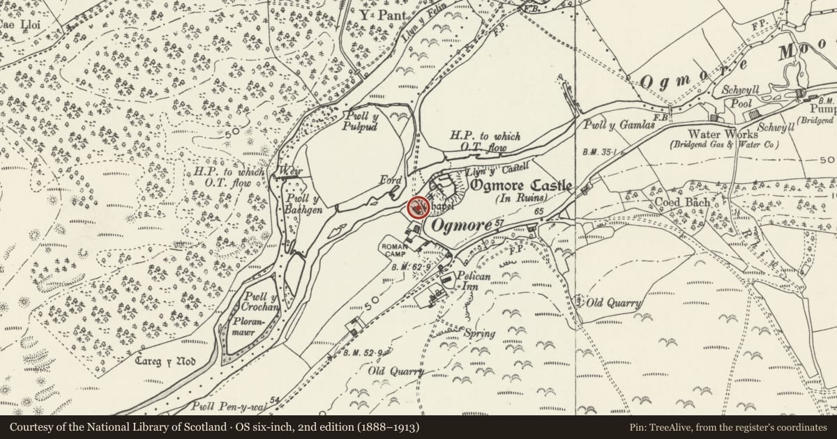 Ordnance Survey six-inch map, 2nd edition (1888–1913) covering the location of Old Star Cottage, St. Bride's Major, Vale of Glamorgan, with a pin at the register's coordinates