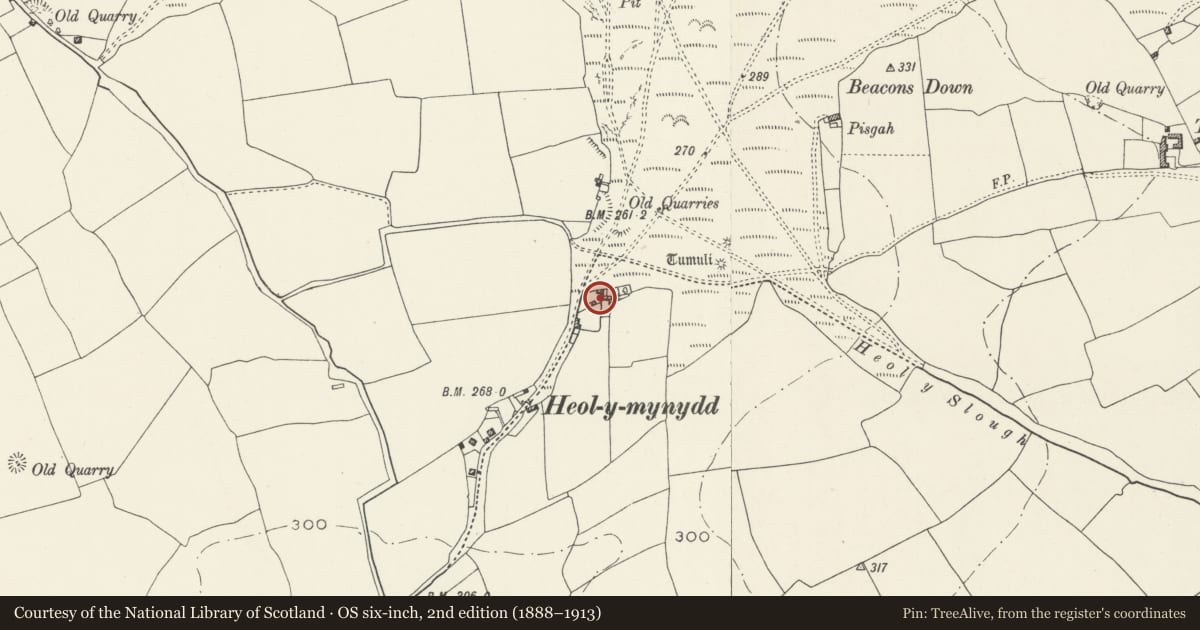 Ordnance Survey six-inch map, 2nd edition (1888–1913) covering the location of Evergreen Cottage, St. Bride's Major, Vale of Glamorgan, with a pin at the register's coordinates