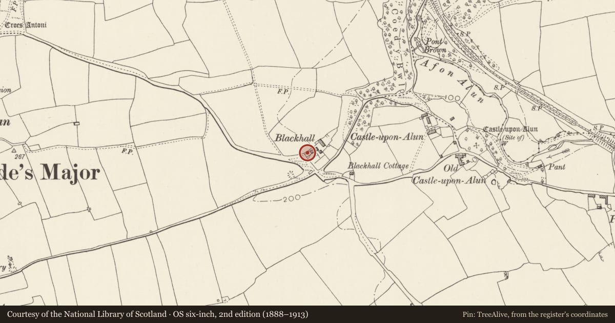 Ordnance Survey six-inch map, 2nd edition (1888–1913) covering the location of Bee Boles at Blackhall Farm, St. Bride's Major, Vale of Glamorgan, with a pin at the register's coordinates