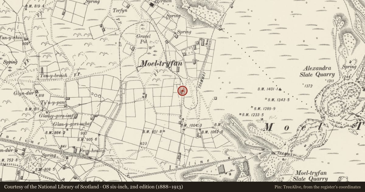 Ordnance Survey six-inch map, 2nd edition (1888–1913) covering the location of Tyddyn Engan, Llanwnda, Gwynedd, with a pin at the register's coordinates