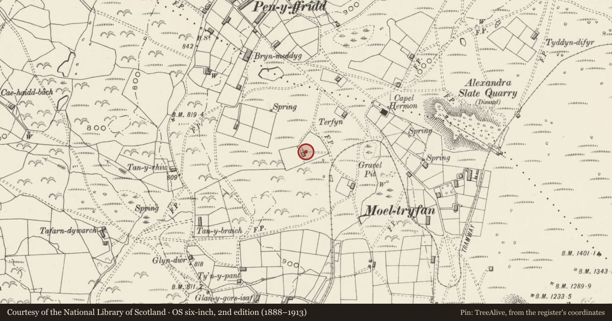 Ordnance Survey six-inch map, 2nd edition (1888–1913) covering the location of Tyn Twll, Llanwnda, Gwynedd, with a pin at the register's coordinates