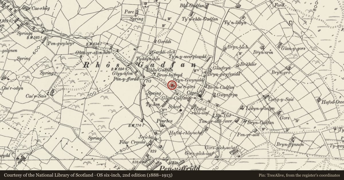 Ordnance Survey six-inch map, 2nd edition (1888–1913) covering the location of Cae'r Gors, Llanwnda, Gwynedd, with a pin at the register's coordinates