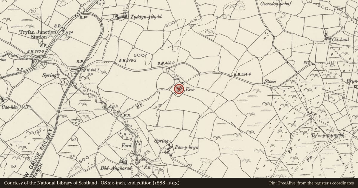 Ordnance Survey six-inch map, 2nd edition (1888–1913) covering the location of Erw, Llanwnda, Gwynedd, with a pin at the register's coordinates