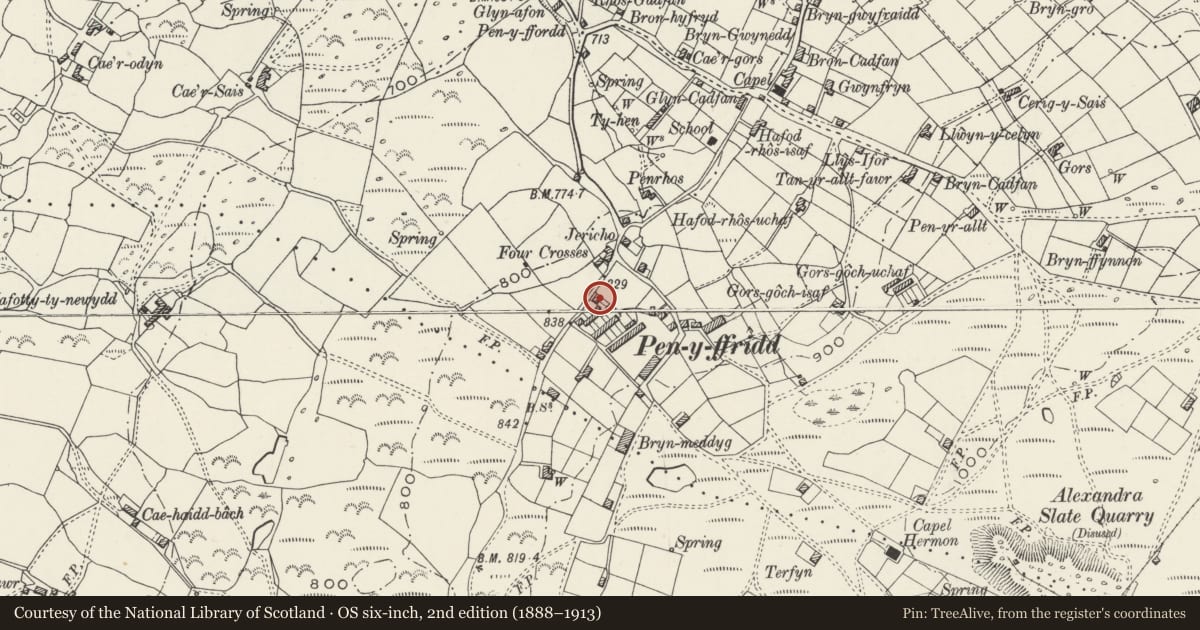 Ordnance Survey six-inch map, 2nd edition (1888–1913) covering the location of Tegfan and adjoining cottage to right, Llanwnda, Gwynedd, with a pin at the register's coordinates
