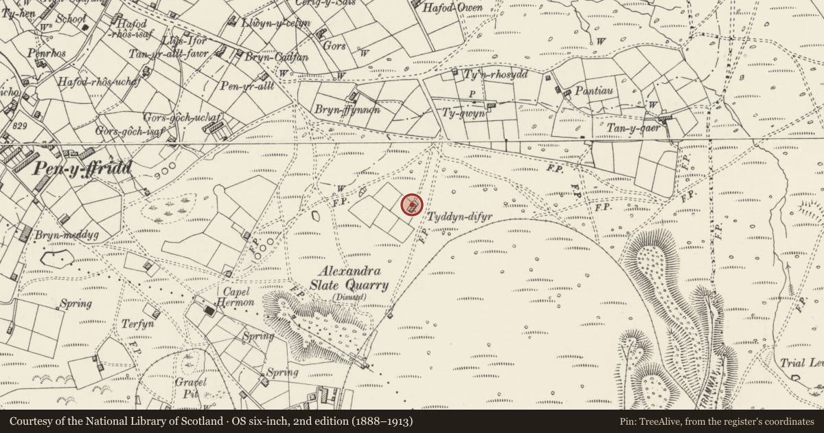 Ordnance Survey six-inch map, 2nd edition (1888–1913) covering the location of Tyddyn-Difyr and associated field walls, Llanwnda, Gwynedd, with a pin at the register's coordinates