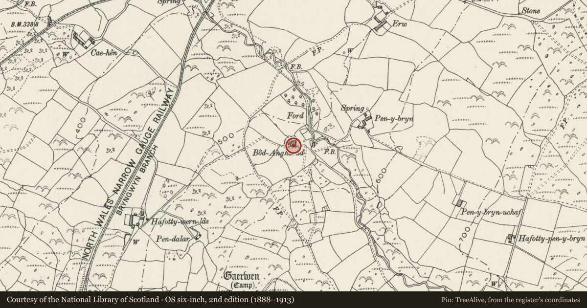 Ordnance Survey six-inch map, 2nd edition (1888–1913) covering the location of Hay Barn at Bodgarad, Llanwnda, Gwynedd, with a pin at the register's coordinates
