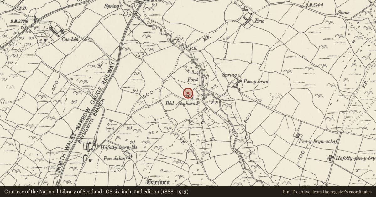 Ordnance Survey six-inch map, 2nd edition (1888–1913) covering the location of Pigsties at Bodgarad, Llanwnda, Gwynedd, with a pin at the register's coordinates