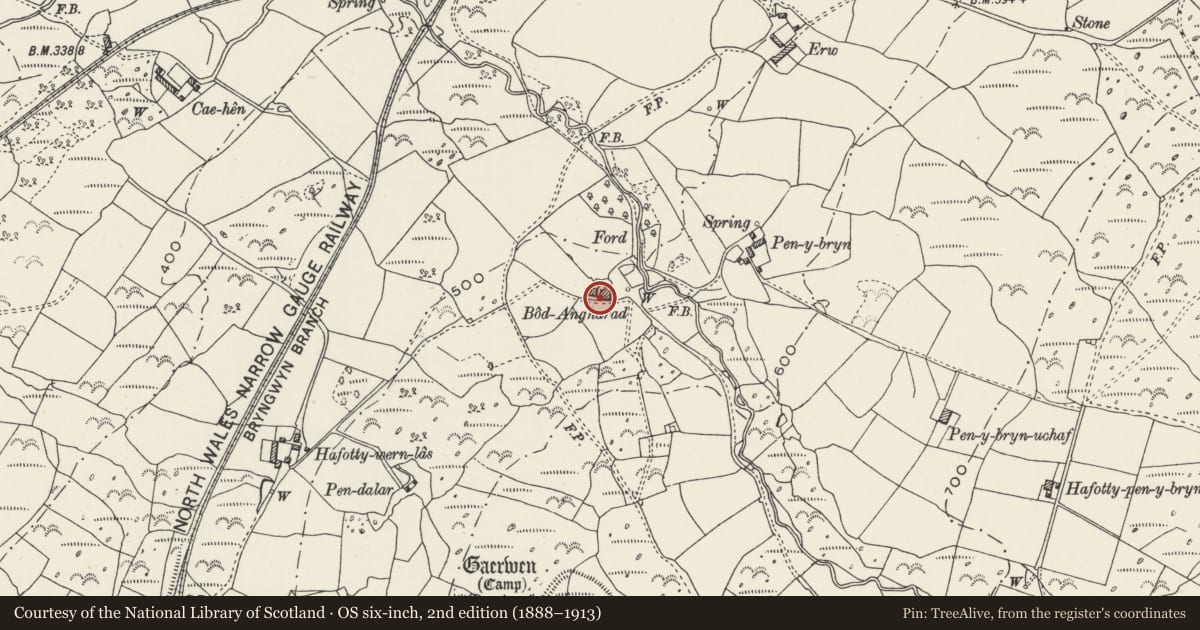 Ordnance Survey six-inch map, 2nd edition (1888–1913) covering the location of Cowhouse at Bodgarad, Llanwnda, Gwynedd, with a pin at the register's coordinates