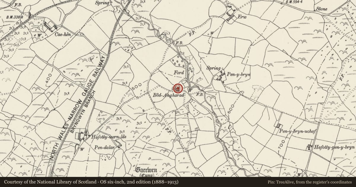 Ordnance Survey six-inch map, 2nd edition (1888–1913) covering the location of Calf-rearing House/Cowhouse at Bodgarad, Llanwnda, Gwynedd, with a pin at the register's coordinates