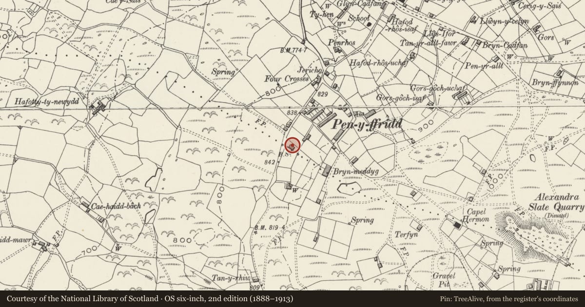 Ordnance Survey six-inch map, 2nd edition (1888–1913) covering the location of Gorphwysfa, Llanwnda, Gwynedd, with a pin at the register's coordinates