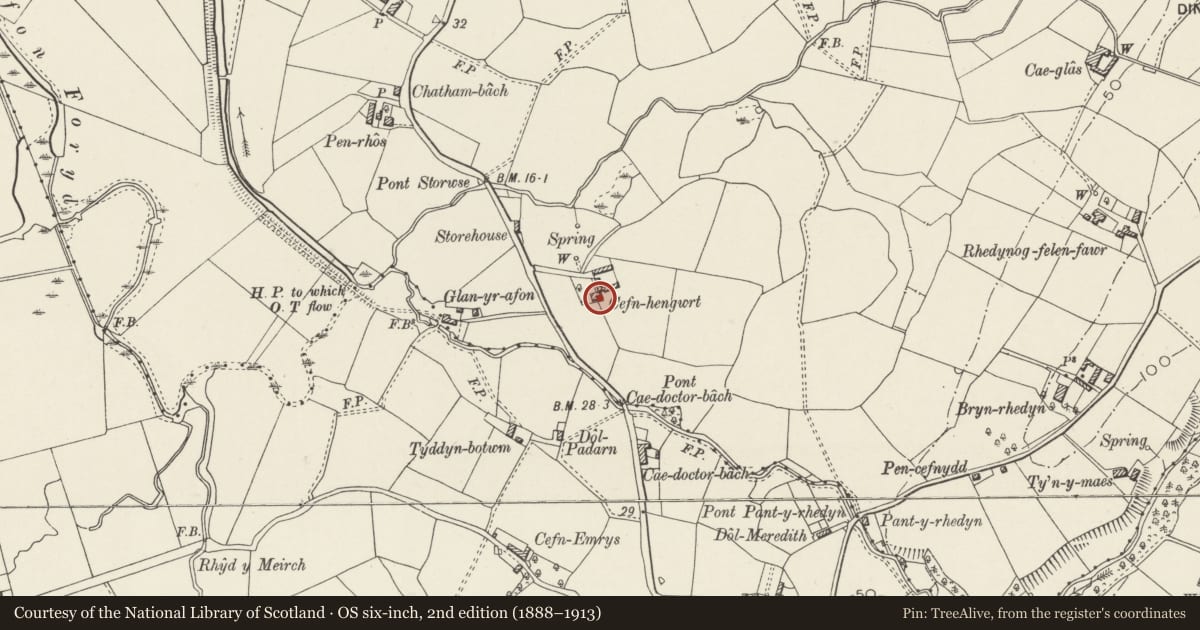 Ordnance Survey six-inch map, 2nd edition (1888–1913) covering the location of Cefn Rhengwrt, Llanwnda, Gwynedd, with a pin at the register's coordinates