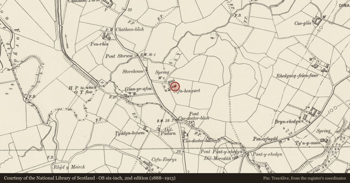 Ordnance Survey six-inch map, 2nd edition (1888–1913) covering the location of Stables and Cart Shelter at Cefn Rhengwrt, Llanwnda, Gwynedd, with a pin at the register's coordinates