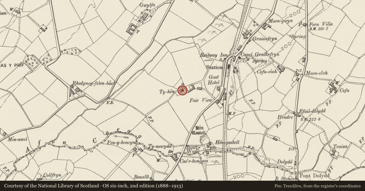 Ordnance Survey six-inch map, 2nd edition (1888–1913) covering the location of Ty-hen, Llanwnda, Gwynedd, with a pin at the register's coordinates