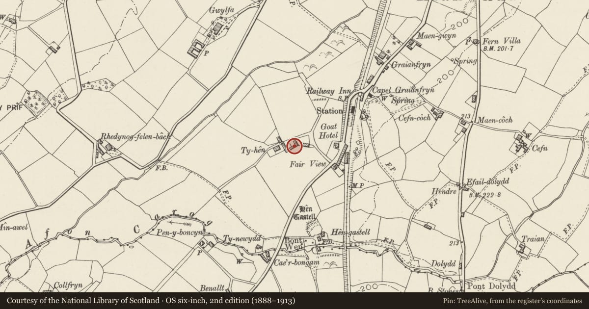 Ordnance Survey six-inch map, 2nd edition (1888–1913) covering the location of Stables, Cart Shelter and Cowhouse Range at Ty-hen, Llanwnda, Gwynedd, with a pin at the register's coordinates