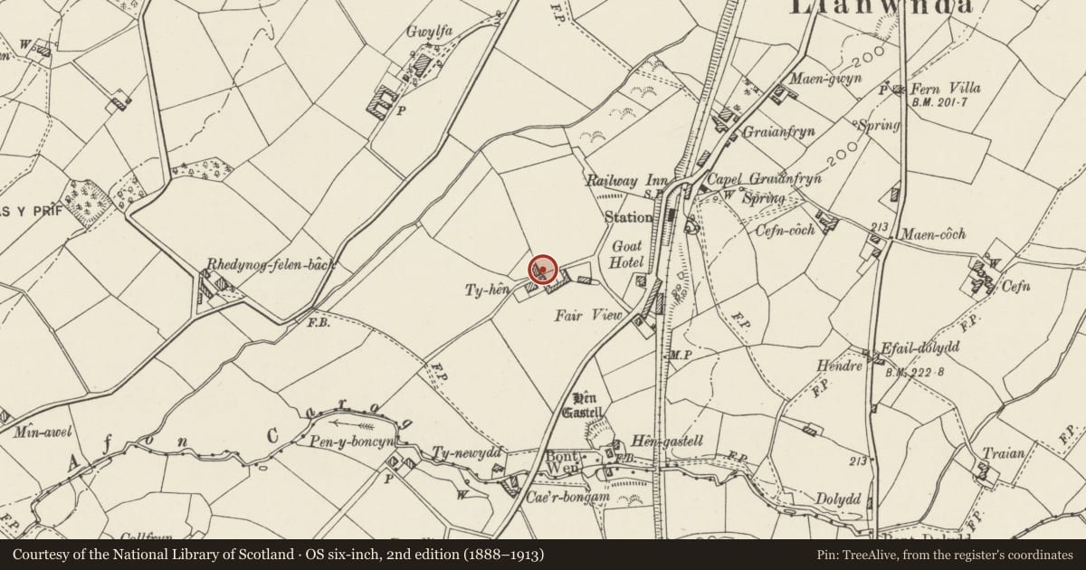 Ordnance Survey six-inch map, 2nd edition (1888–1913) covering the location of Bothy and Pigsties at Ty-hen, Llanwnda, Gwynedd, with a pin at the register's coordinates