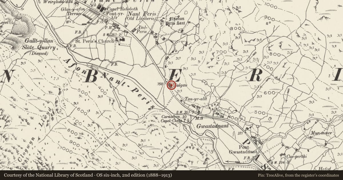 Ordnance Survey six-inch map, 2nd edition (1888–1913) covering the location of Talgae, Llanberis, Gwynedd, with a pin at the register's coordinates