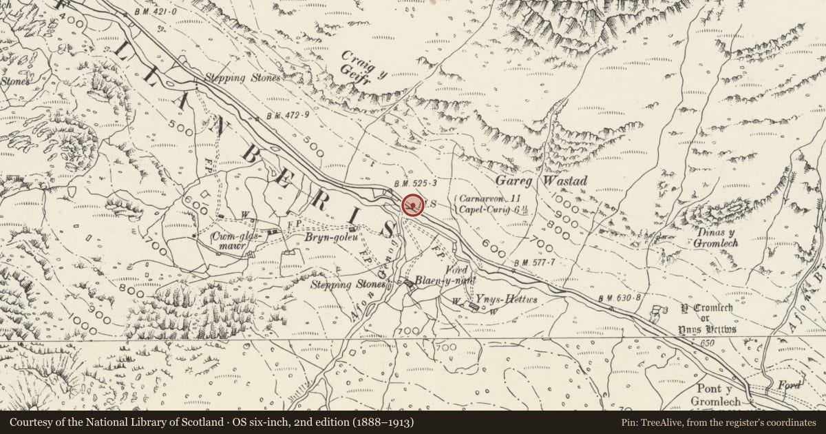 Ordnance Survey six-inch map, 2nd edition (1888–1913) covering the location of Milestone, Llanberis, Gwynedd, with a pin at the register's coordinates