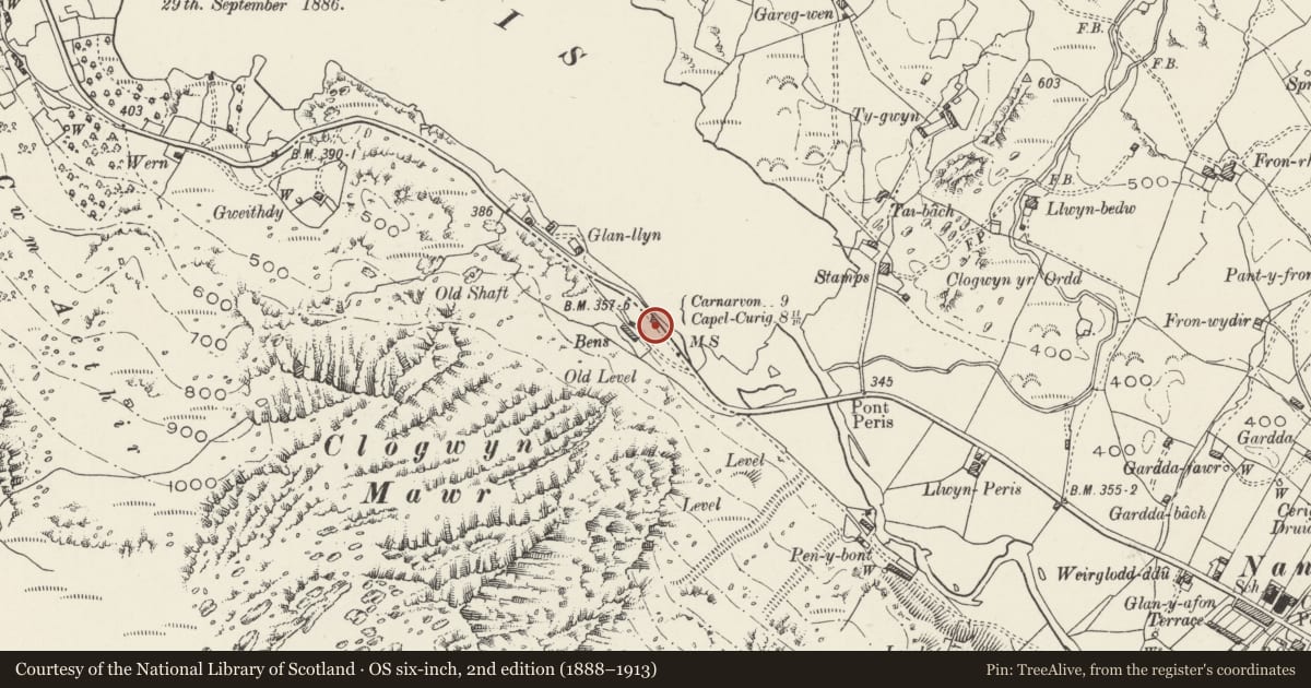 Ordnance Survey six-inch map, 2nd edition (1888–1913) covering the location of Milestone, Llanberis, Gwynedd, with a pin at the register's coordinates