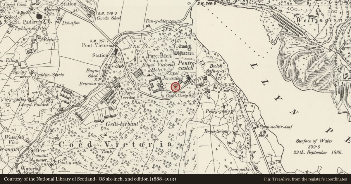 Ordnance Survey six-inch map, 2nd edition (1888–1913) covering the location of Bryn Eithin, Llanberis, Gwynedd, with a pin at the register's coordinates