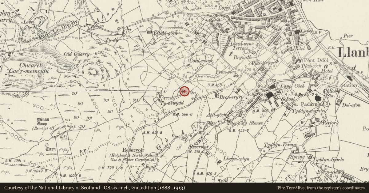 Ordnance Survey six-inch map, 2nd edition (1888–1913) covering the location of Field Cowhouse at Ty Newydd Farm, Llanberis, Gwynedd, with a pin at the register's coordinates