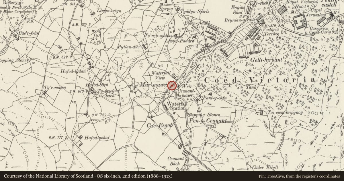 Ordnance Survey six-inch map, 2nd edition (1888–1913) covering the location of Waterfall Viaduct, Llanberis, Gwynedd, with a pin at the register's coordinates