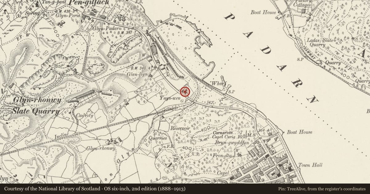 Ordnance Survey six-inch map, 2nd edition (1888–1913) covering the location of Ynys-wen, Llanberis, Gwynedd, with a pin at the register's coordinates