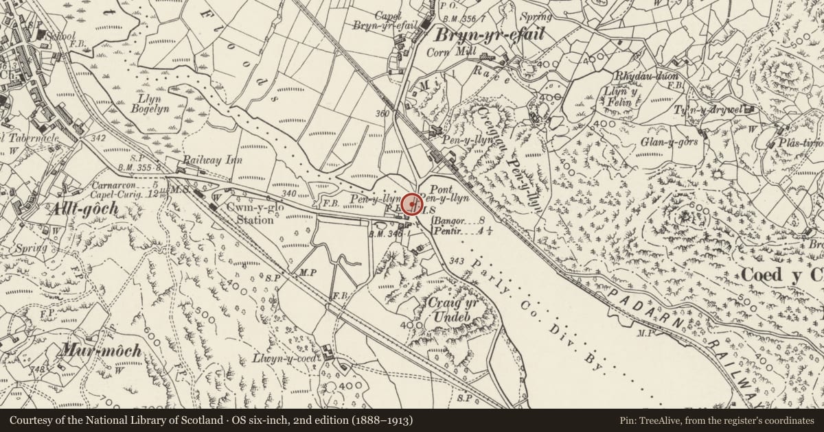 Ordnance Survey six-inch map, 2nd edition (1888–1913) covering the location of Pont Penllyn (partly in Llanddeiniolen community), Llanberis, Gwynedd, with a pin at the register's coordinates