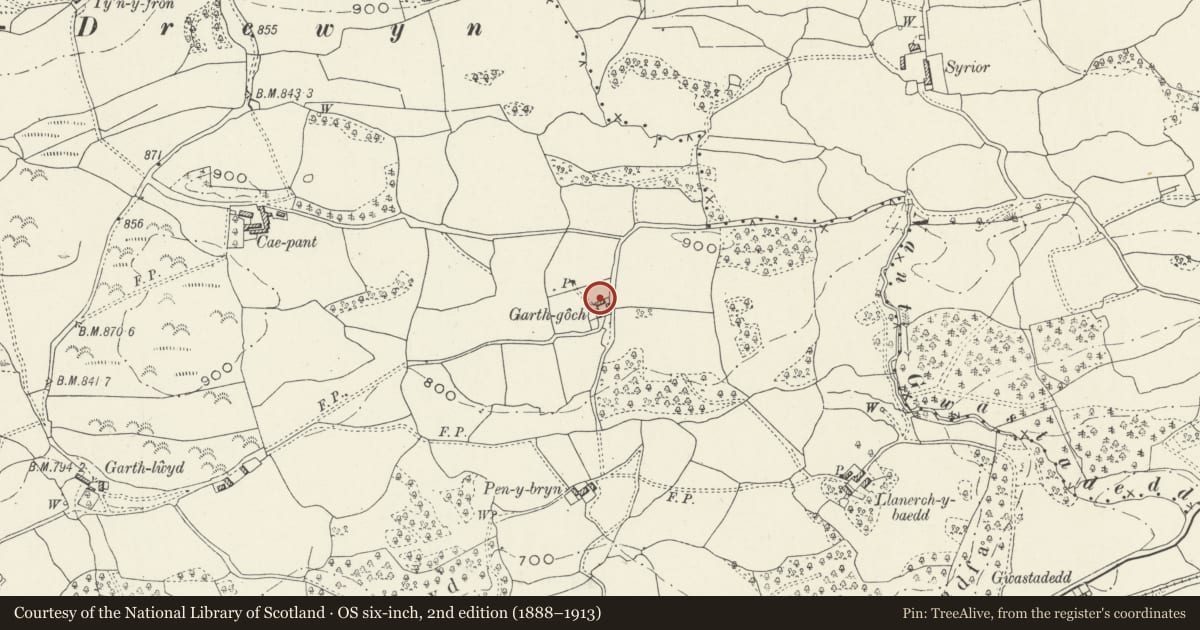 Ordnance Survey six-inch map, 2nd edition (1888–1913) covering the location of Garth-goch, Llandderfel, Gwynedd, with a pin at the register's coordinates