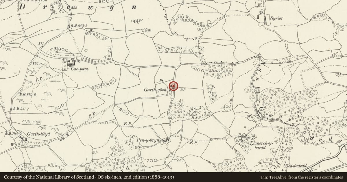 Ordnance Survey six-inch map, 2nd edition (1888–1913) covering the location of Stable/Pigsty Block at Garth-goch, Llandderfel, Gwynedd, with a pin at the register's coordinates