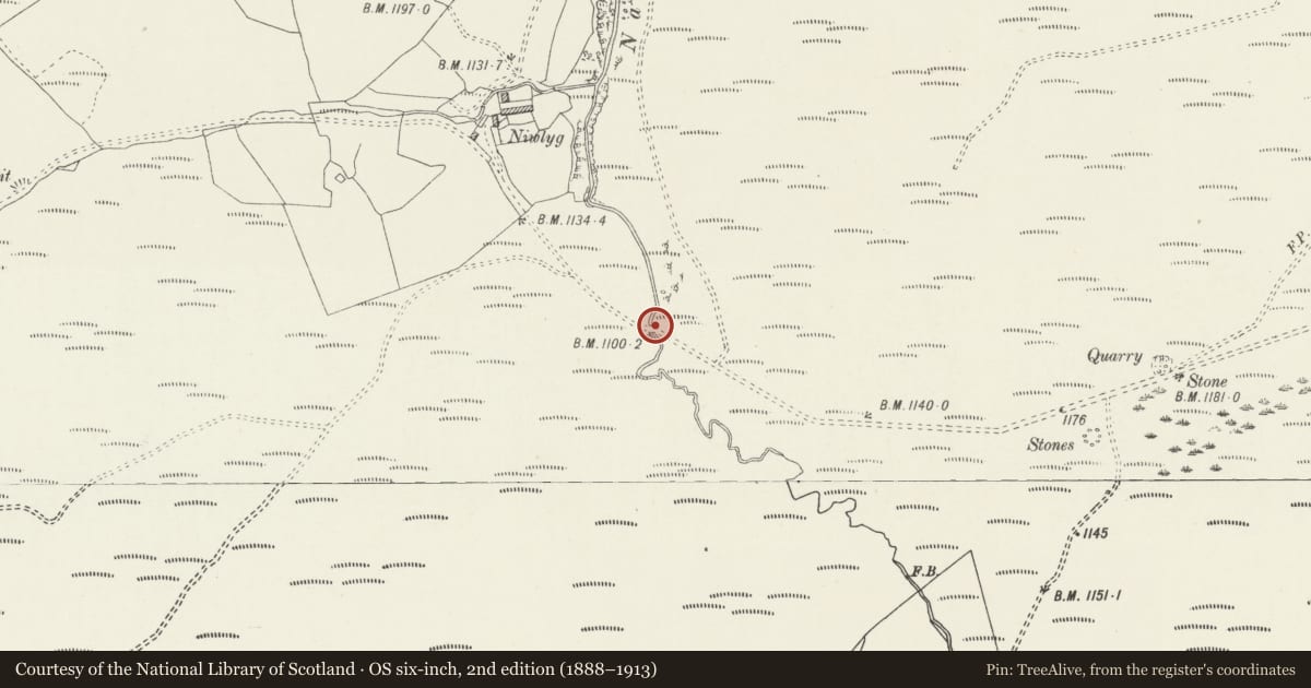 Ordnance Survey six-inch map, 2nd edition (1888–1913) covering the location of Pont Traws-afon, Cyffylliog, Denbighshire, with a pin at the register's coordinates