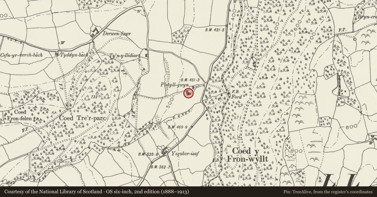 Ordnance Survey six-inch map, 2nd edition (1888–1913) covering the location of Timber-framed Agricultural Building at Pistyll-Gwyn, Cyffylliog, Denbighshire, with a pin at the register's coordinates