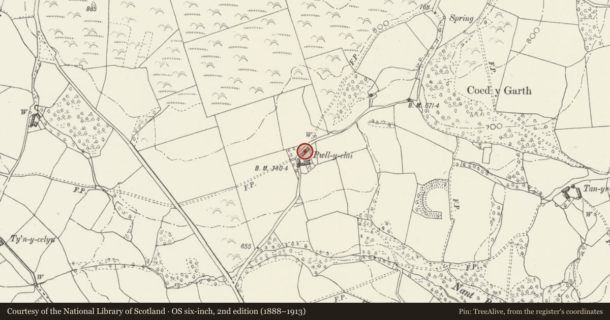 Ordnance Survey six-inch map, 2nd edition (1888–1913) covering the location of Pyllau-Clai, Cyffylliog, Denbighshire, with a pin at the register's coordinates