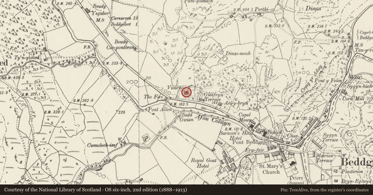 Ordnance Survey six-inch map, 2nd edition (1888–1913) covering the location of Ficerdy, Beddgelert, Gwynedd, with a pin at the register's coordinates