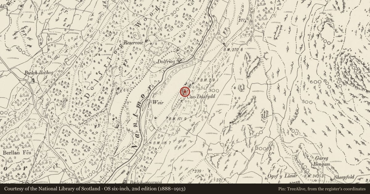 Ordnance Survey six-inch map, 2nd edition (1888–1913) covering the location of Cae Dafydd, Beddgelert, Gwynedd, with a pin at the register's coordinates