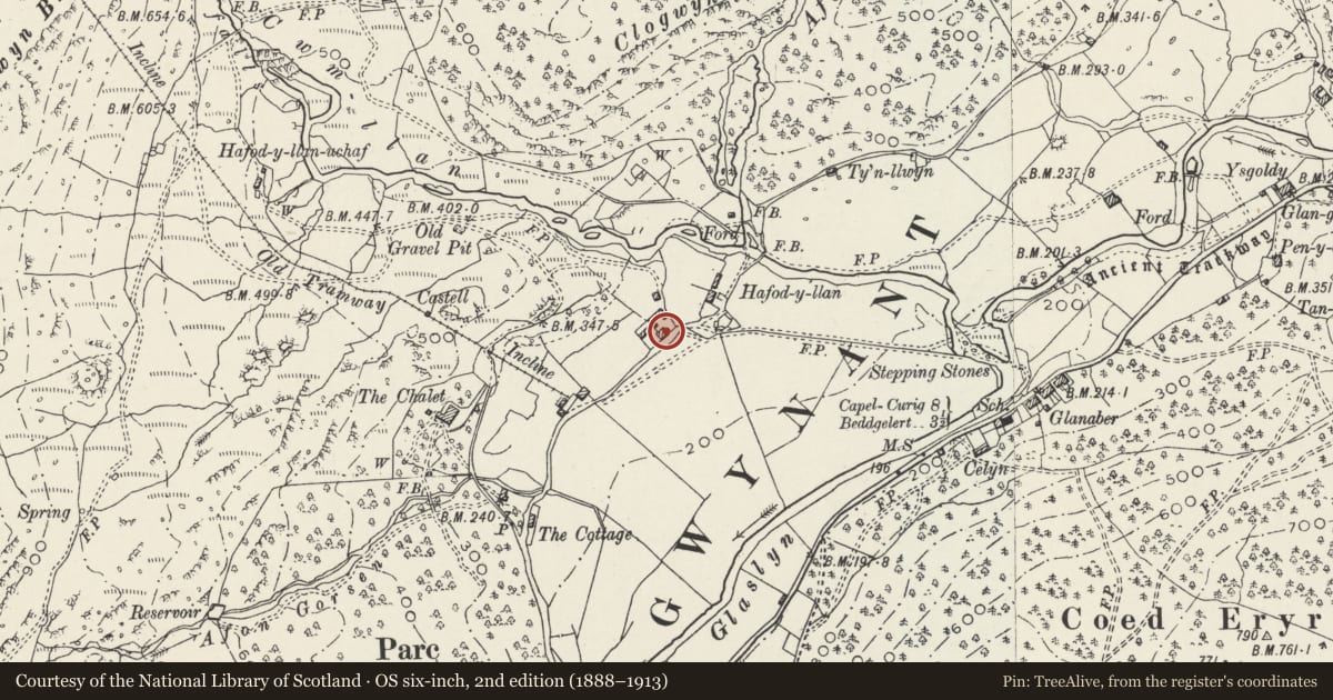 Ordnance Survey six-inch map, 2nd edition (1888–1913) covering the location of Stable and Cartshed at Hafod y Llan, Beddgelert, Gwynedd, with a pin at the register's coordinates