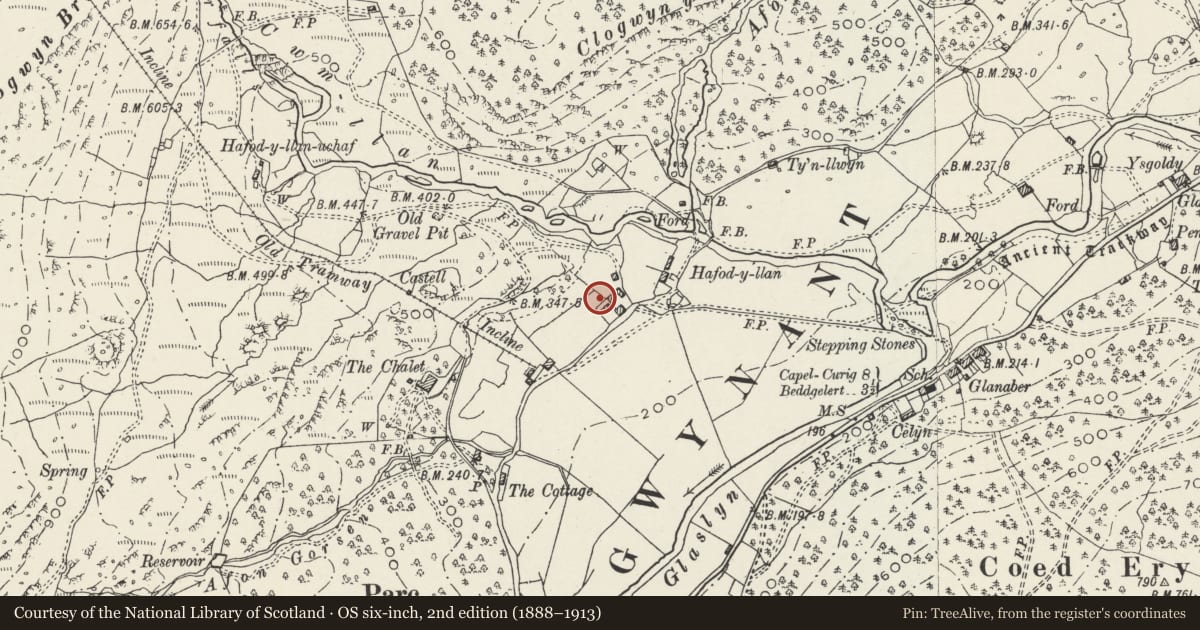 Ordnance Survey six-inch map, 2nd edition (1888–1913) covering the location of Haybarn at Hafod y Llan, Beddgelert, Gwynedd, with a pin at the register's coordinates