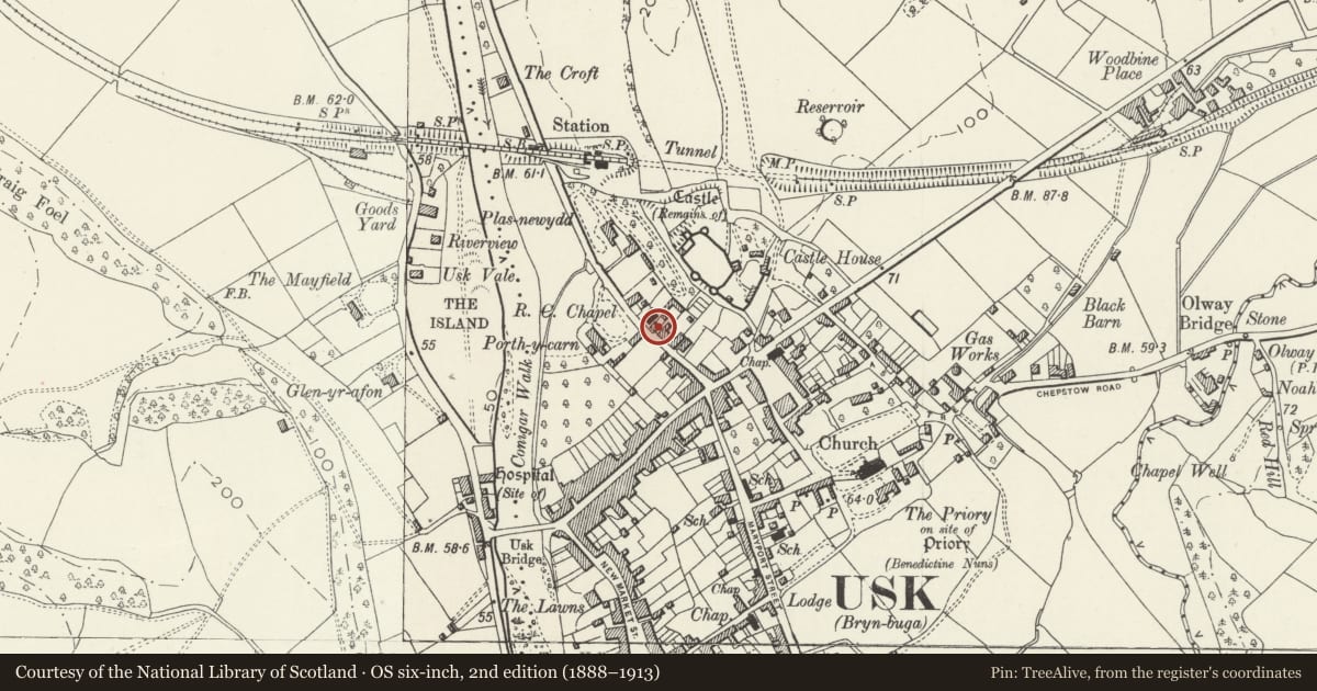 Ordnance Survey six-inch map, 2nd edition (1888–1913) covering the location of No.24 Porthycarne Street, and attached iron railings, Usk, Monmouthshire, with a pin at the register's coordinates