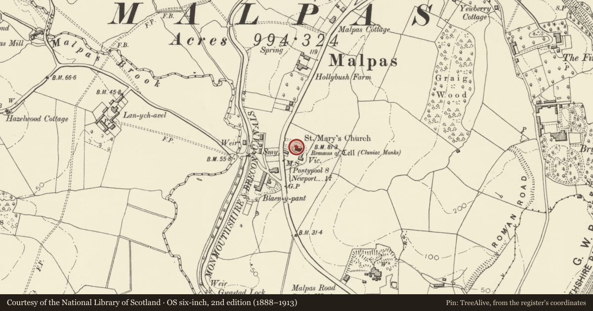 Ordnance Survey six-inch map, 2nd edition (1888–1913) covering the location of Allfrey Tomb, Malpas Church, Newport, with a pin at the register's coordinates