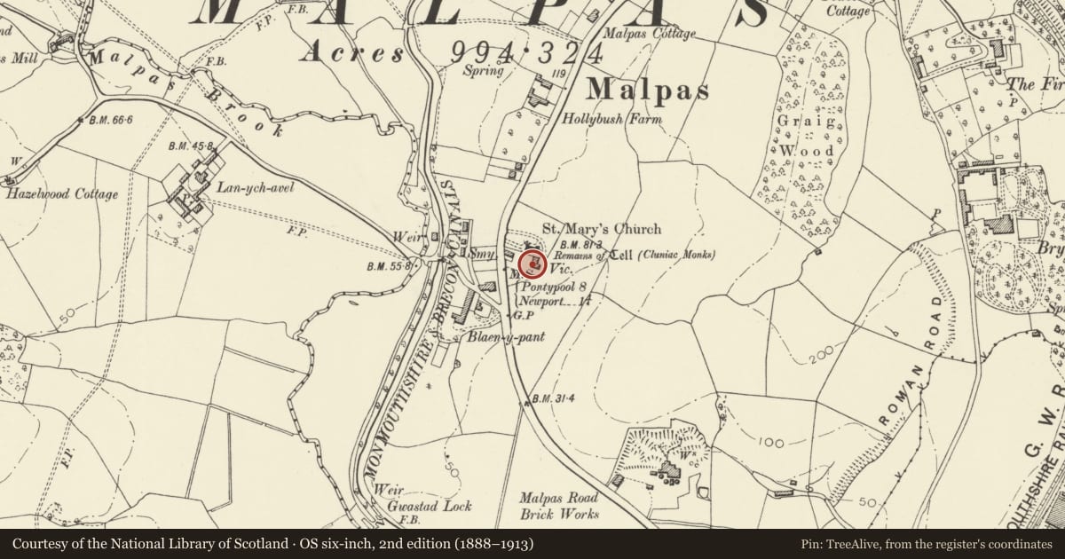 Ordnance Survey six-inch map, 2nd edition (1888–1913) covering the location of Malpas Vicarage, Newport, with a pin at the register's coordinates