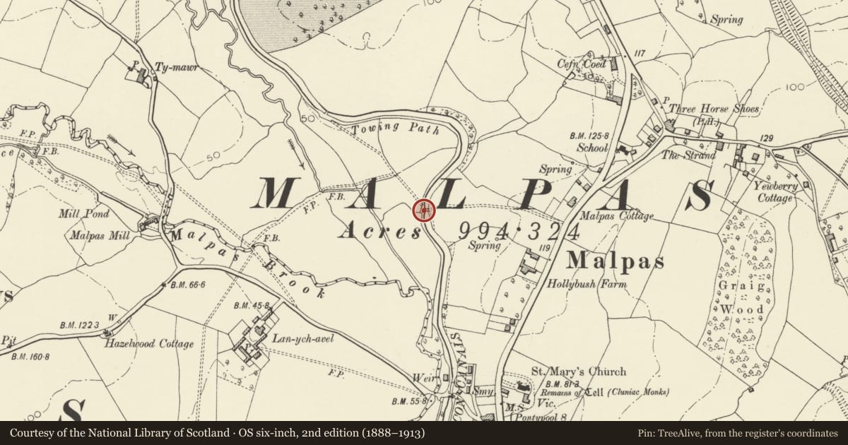 Ordnance Survey six-inch map, 2nd edition (1888–1913) covering the location of Hollybush Bridge over the Monmouthshire and Brecon Canal (partly in Bettws Community), Malpas, Newport, with a pin at the register's coordinates