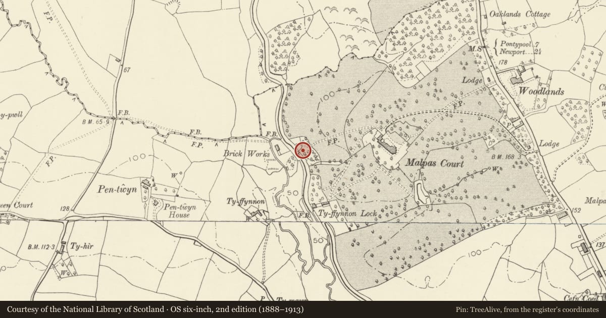 Ordnance Survey six-inch map, 2nd edition (1888–1913) covering the location of Bridge over the Monmouthshire and Brecon Canal SE of Pentwyn (partly in Bettws community), Malpas, Newport, with a pin at the register's coordinates