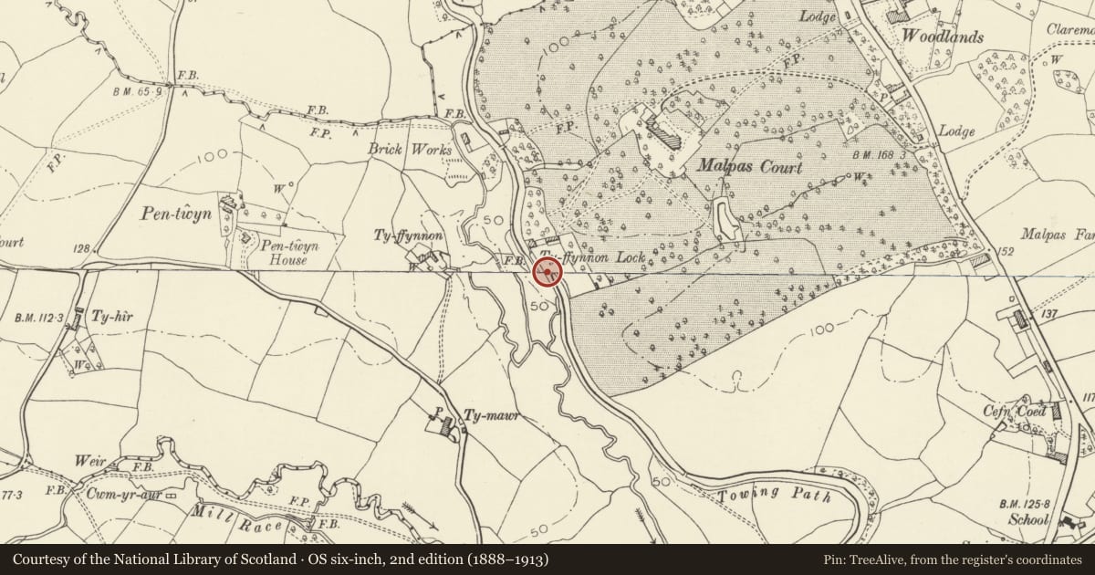 Ordnance Survey six-inch map, 2nd edition (1888–1913) covering the location of Ty-ffynnon Bridge over the Monmouthshire and Brecon Canal & attached revetments and Lock, Bettws, Newport, with a pin at the register's coordinates