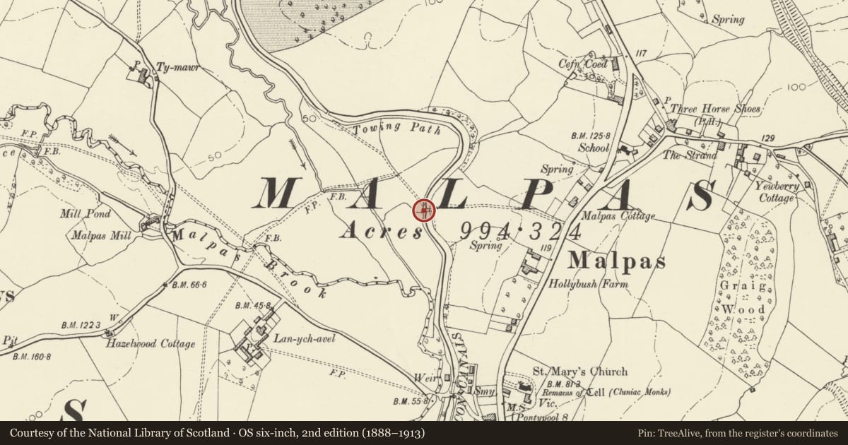 Ordnance Survey six-inch map, 2nd edition (1888–1913) covering the location of Hollybush Bridge over the Monmouthshire and Brecon Canal (partly in Malpas community), Bettws, Newport, with a pin at the register's coordinates